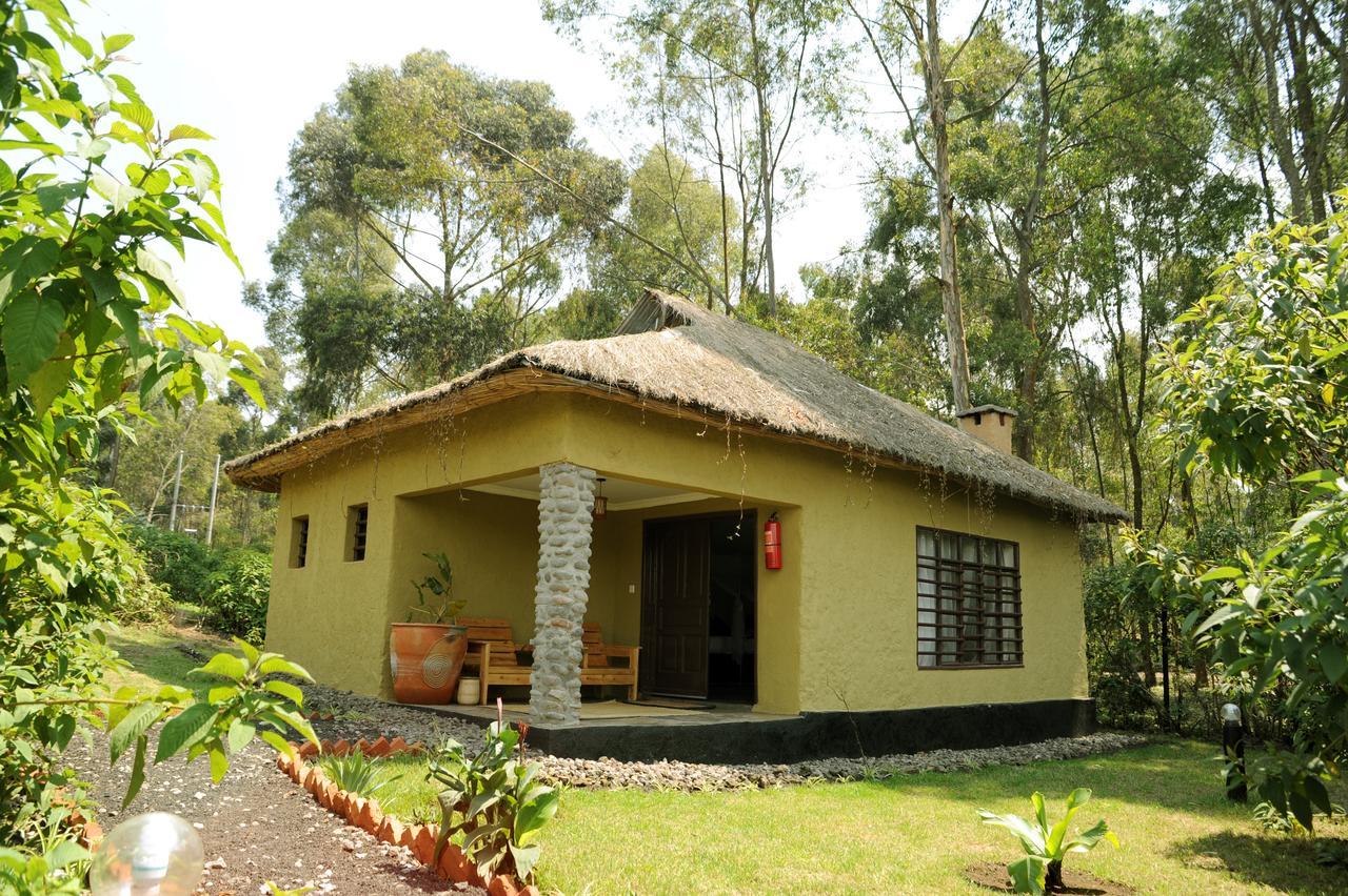 Davinci Gorilla Lodge Kinigi Екстер'єр фото